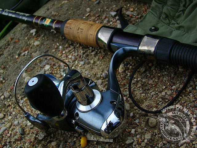 Jaxon Arnas 200 model FD