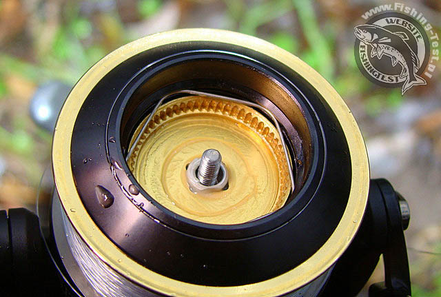 Daiwa Infinity Q 3000 Zaion