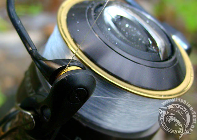 Daiwa Infinity Q 3000 Zaion