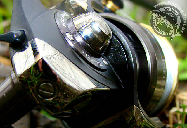 Daiwa Infinity Q 3000 Zaion