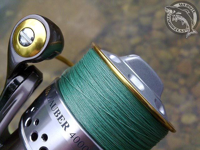 Ryobi Zauber 4000