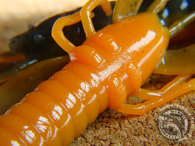 YUM Craw Papi raczek