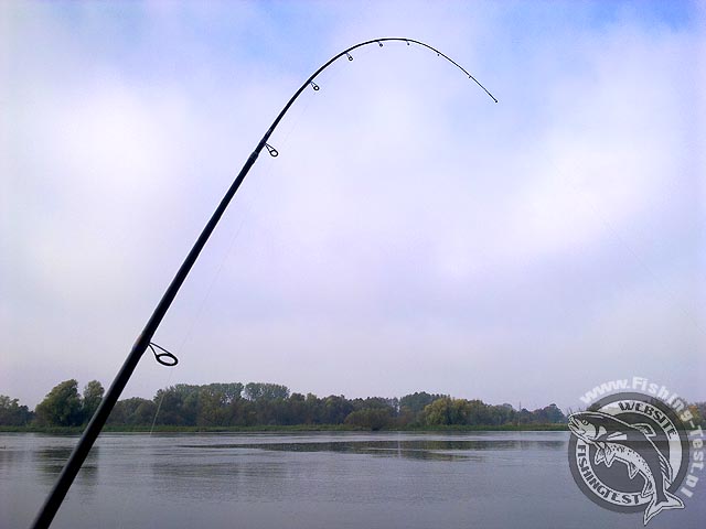 Konger Maxim Twist 270 2-12g akcja