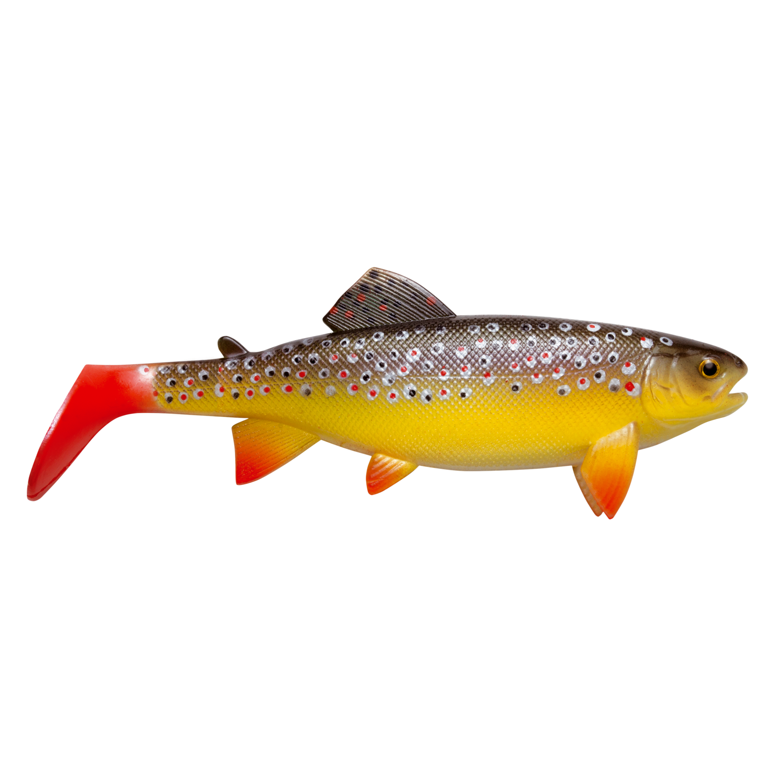 jackson-the-trout
