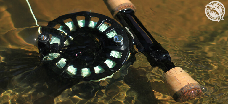 scierra orbit 4
