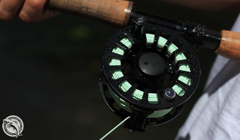 scierra orbit 8