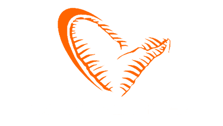 savage gear